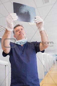 Serious dentist examining a x-ray