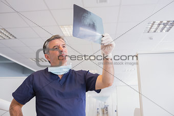 Dentist examining a x-ray attentively