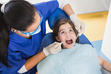 Pediatric dentist examining her patient with mouth open