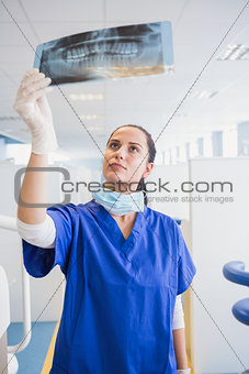 Concentrated dentist examining a x-ray