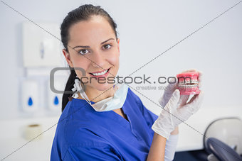 Smiling dentist showing a model