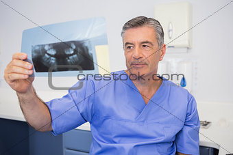 Thoughtful dentist studying x-ray attentively