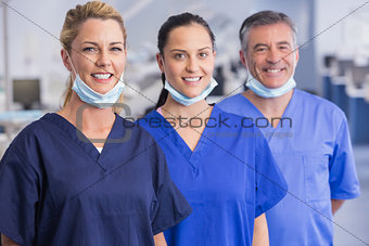 Portrait of smiling co-workers standing in a line