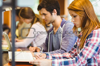 Four focused classmates working together