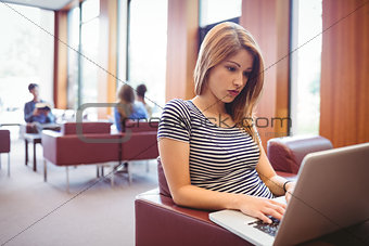 Focused young student sitting on couch using laptop
