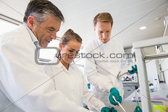 Team of scientists working together