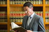 Lawyer reading book in the law library