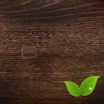 Wooden Texture With Leaf