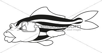 Striped Fish