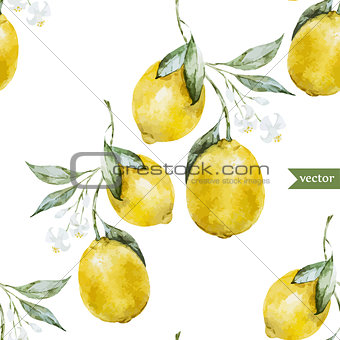 Lemon pattern3
