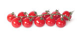 Cherry tomatoes on the stem