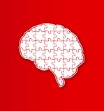 human puzzle brain