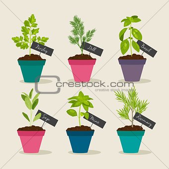 Herb garden with pots of herbs