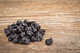 dried blueberry