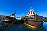 Three Tugboats in the Harbor
