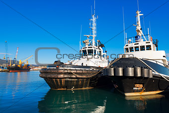 Two Tugboats and Containers Ship