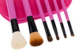 Professional make-up brush cosmetic isolated on white background 