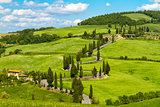 Tuscany road with cypress trees, Val d'Orcia, Italy