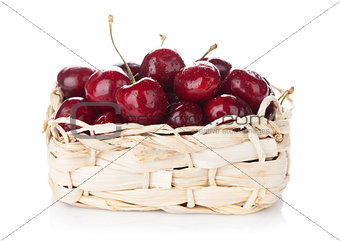 Ripe cherries basket