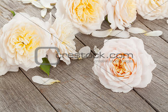 Fresh rose flowers