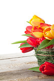 Fresh colorful tulips in basket