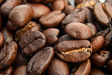 Close up of a coffee bean pile