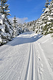 fresh track for cross-country skiing