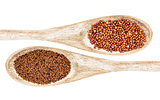 kaniwa and quinoa grain