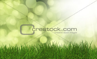 Grass on a defocussed green background