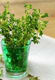 bunch of fresh green thyme in a glass