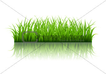 Green Grass Border
