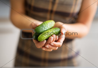 Closeup on housewife showing cucumbers