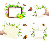 Set of summer frames with photo, green leaves, flowers and insec