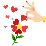 Guessing on the petals. A womans hand lifts the heart petals