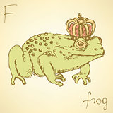 Sketch fancy frog in vintage style