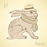 Sketch fancy hare in vintage style