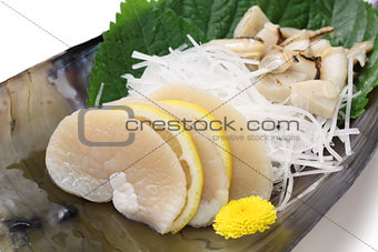 pen shell sashimi, japanese cuisine