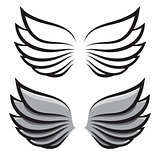 set. two pairs of wings. Black and colored