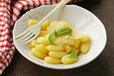 traditional Italian gnocchi prepared with potatoes and eggs