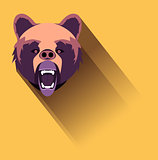 angry bear