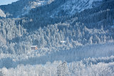 Alpine hut in wintery forest, Bavaria, Germany