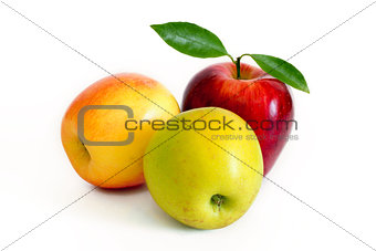 Various apples isolated on white background