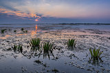 sunrise in the Danube Delta