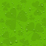 Green seamless clover leaves with transparent drops of dew