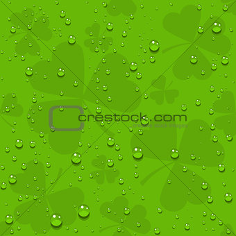Green seamless clover leaves with transparent drops of dew
