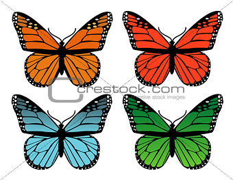 butterflies design 