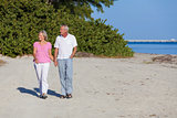 Senior Couple Holding Hands Walking Beach