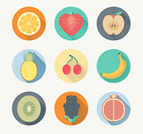 Fruits icon vector