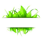 Green Grass and Leaves Banner