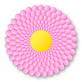 Lovely pink flowerer with yellow center and with shadow on white background